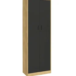 Armoire de bureau multifonction bois noir