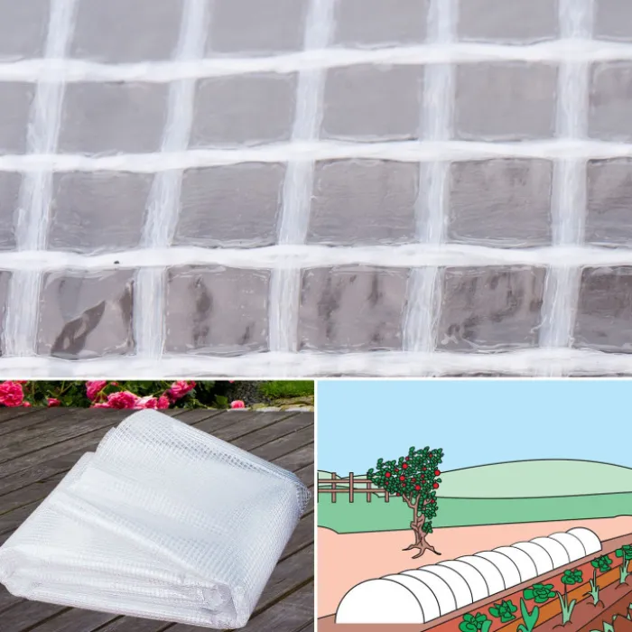 Bâche armée transparente 4x6 m renforcée