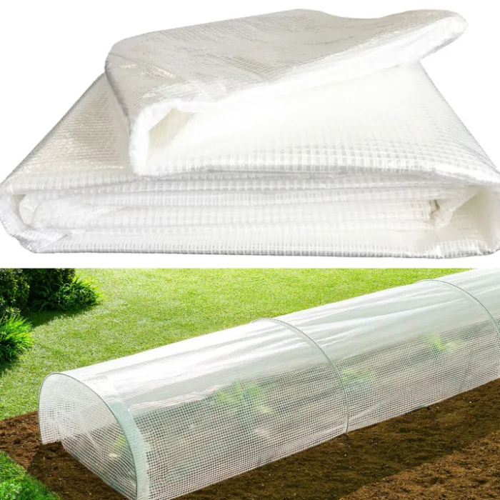 Bâche armée transparente 4x6 m renforcée