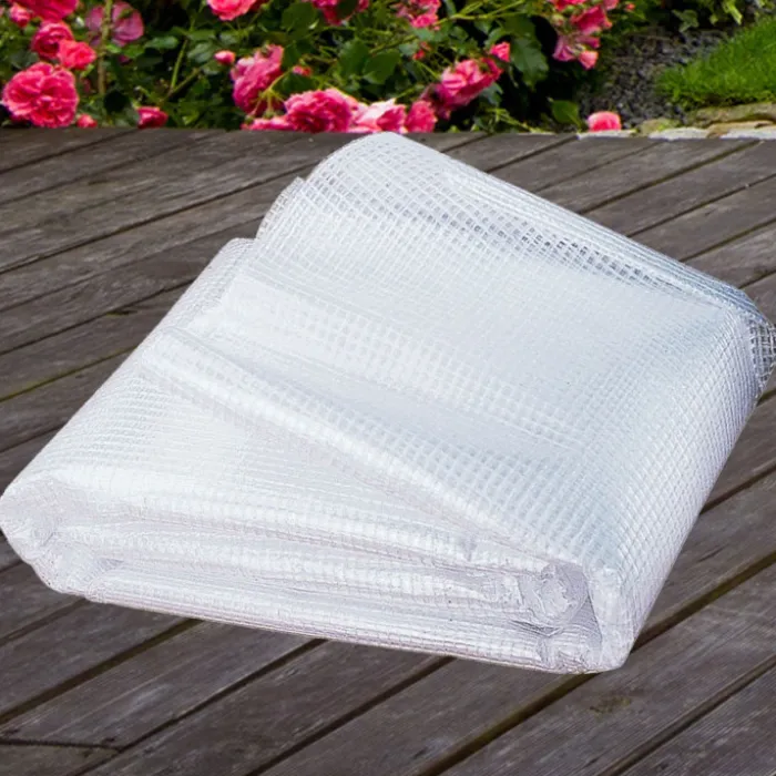 Bâche armée transparente 4x6 m renforcée