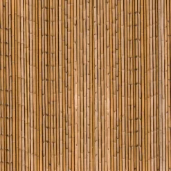 Brise-vue occultant imprimé bambou 1,8 x 10 M 160 gr /m²