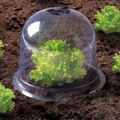 Cloches pour plants de salade X12
