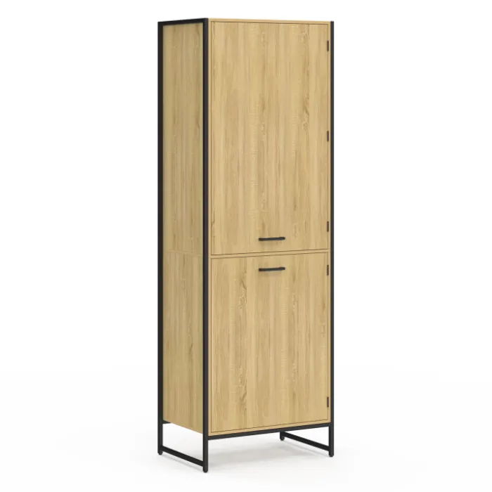 Colonne cuisine industrielle 2 portes