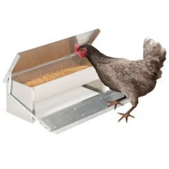 Distributeur de graines pour poules anti nuisible