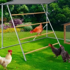 Enclos poulailler 12 m² en acier galvanisé avec perchoir