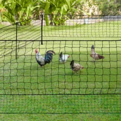 Filet à poules de 50m avec porte