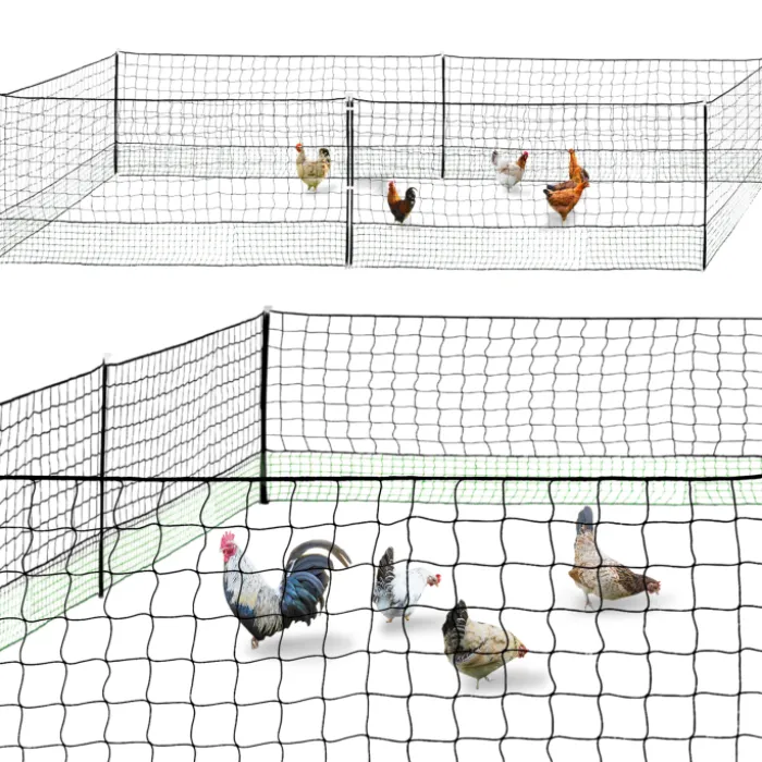 Filet pour poulailler 12 m