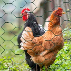 Grillage à poule vert 1x25m clôture souple jardin animaux