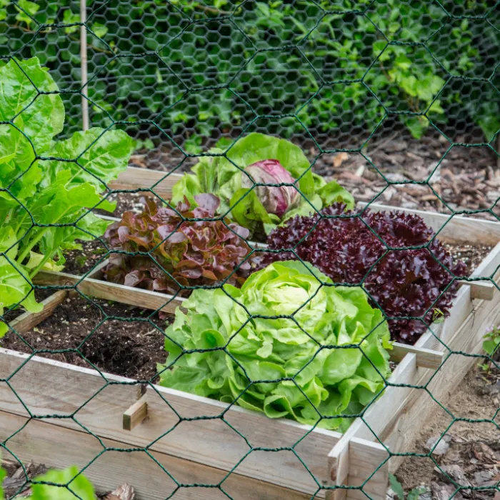 Grillage à poule vert 1x25m clôture souple jardin animaux