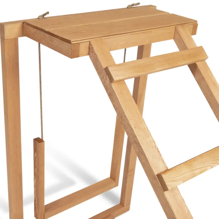 Jeux pour poules avec perchoir et balançoire
