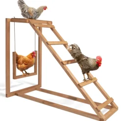 Jeux pour poules avec perchoir et balançoire
