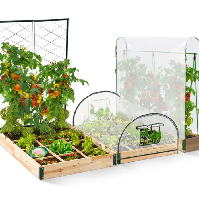 Kit complet 3 carrés potager et serre à tomates + treillis + housse