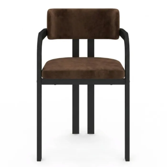 Lot de 2 chaises de salle à manger, fauteuils de table en métal noir et velours marron avec accoudoirs