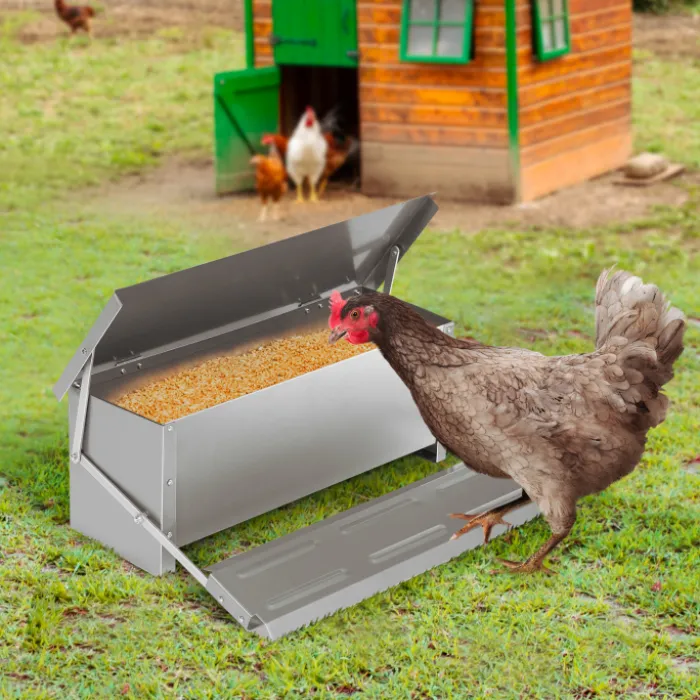 Mangeoire automatique en acier pour poules