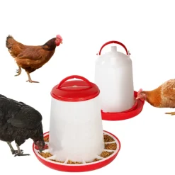 Mangeoire et abreuvoir pour poules