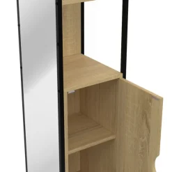 Meuble colonne salle de bain 1 porte avec miroir et étagères