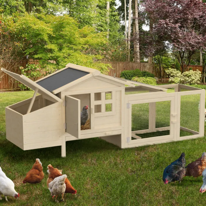 Petit poulailler en bois pour 2 poules avec enclos et pondoir sur pilotis