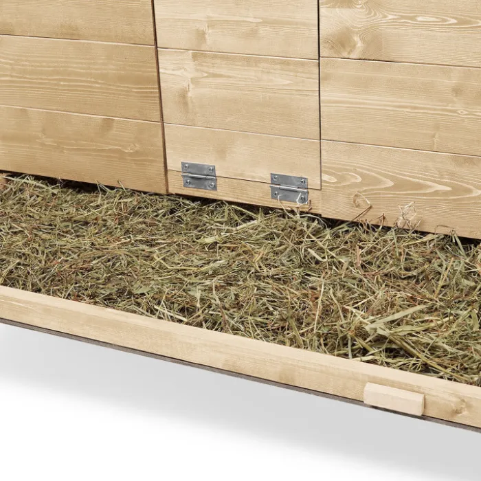 Poulailler XXL avec pondoir
