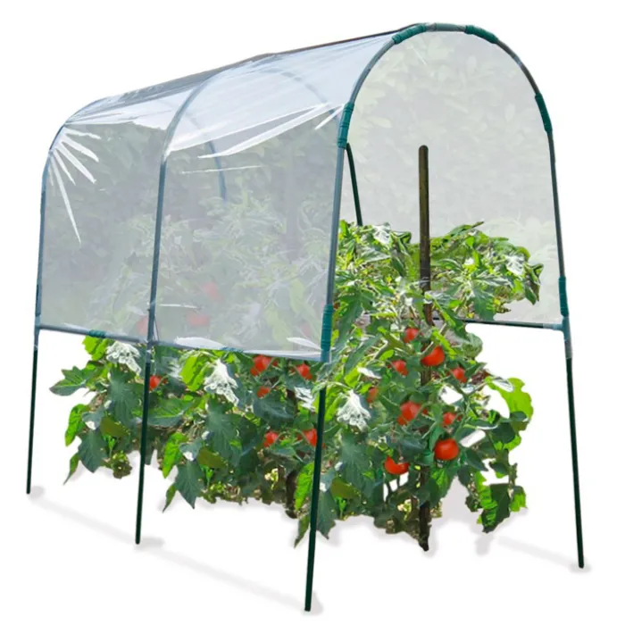 Serre à tomates de 2m de longueur