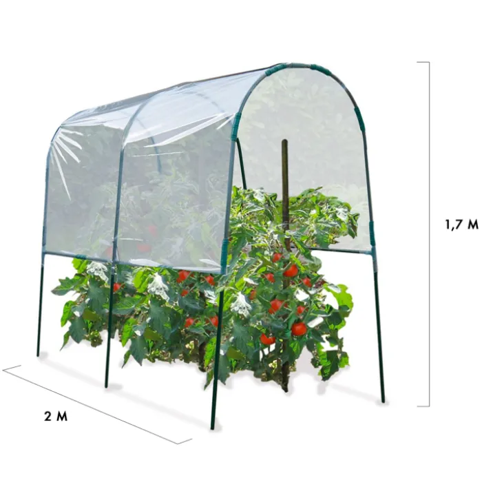 Serre à tomates de 2m de longueur