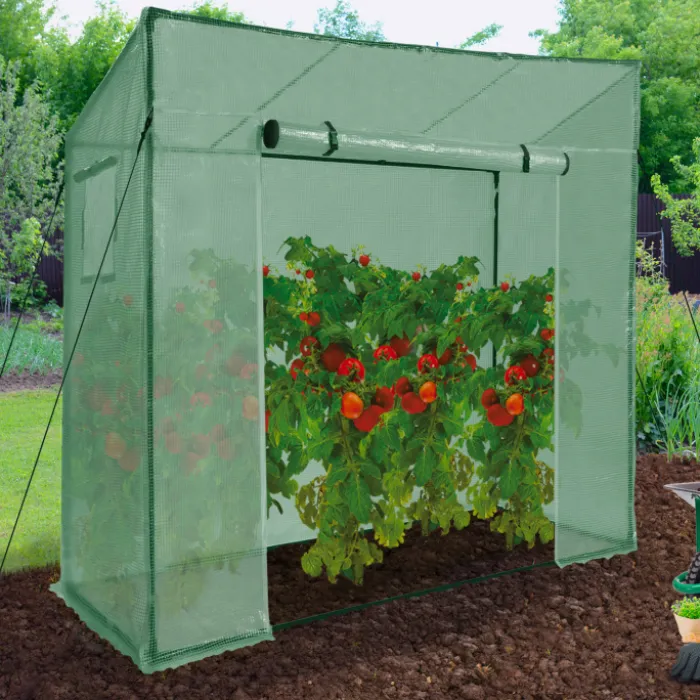 Serre de jardin verte avec porte et fenêtres relevables