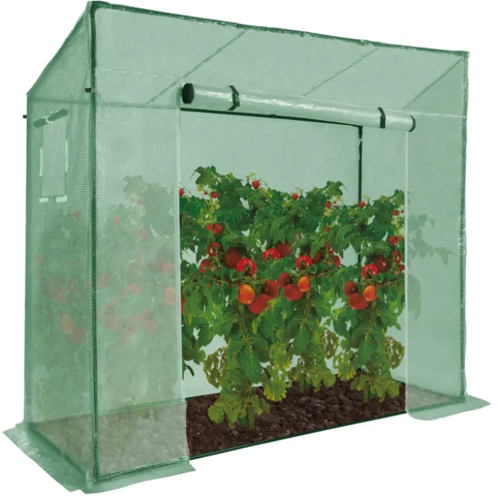 Serre de jardin verte avec porte et fenêtres relevables