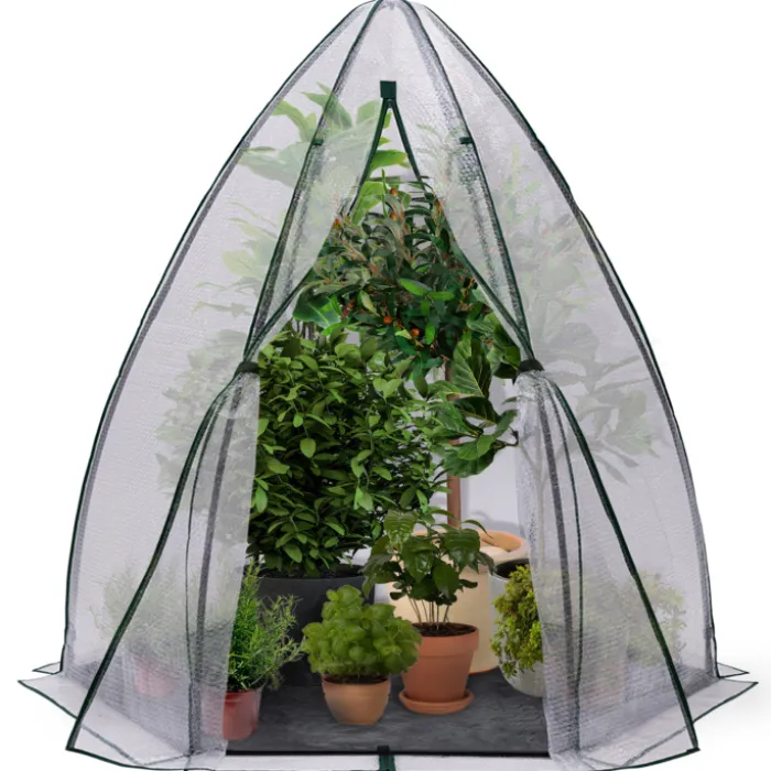 Serre pour hivernage des plantes bâche bulle