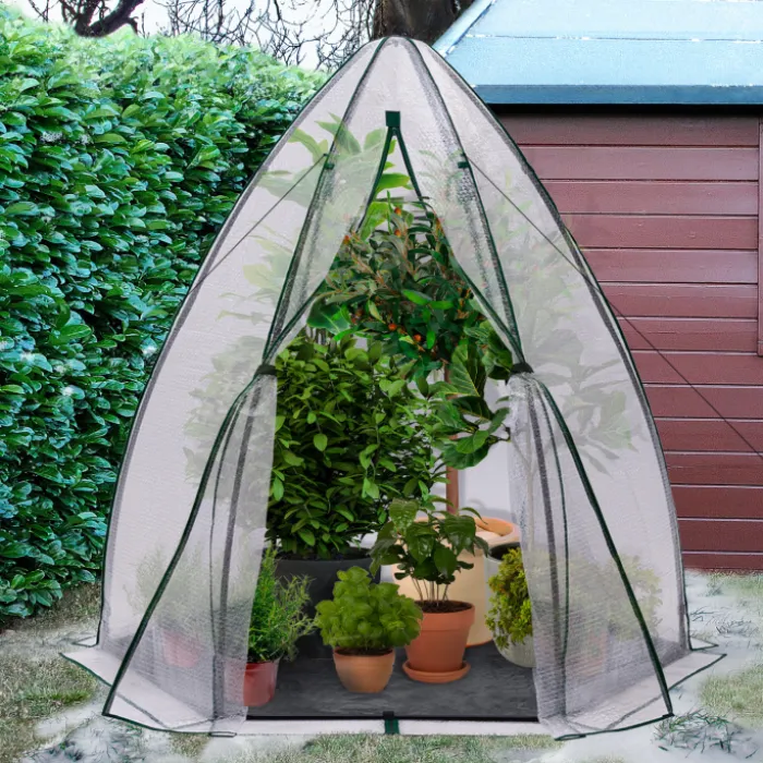 Serre pour hivernage des plantes bâche bulle