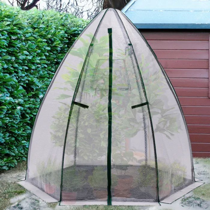 Serre pour hivernage des plantes bâche bulle