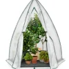 Serre pour hivernage des plantes