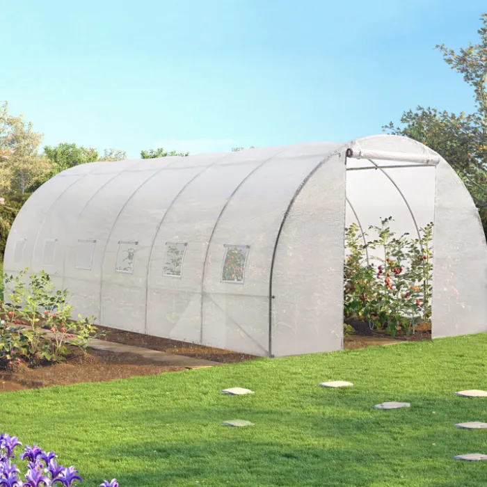 Serre 6x3 m transparente