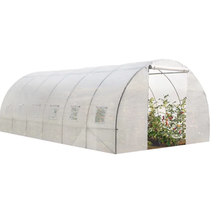 Serre 6x3 m transparente