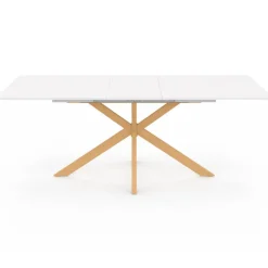 Table à manger extensible rectangle 6-10 personnes bois