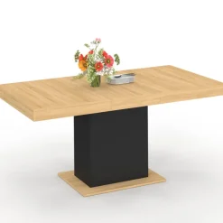 Table à manger extensible rectangle 4-6 personnes bois et noir 120-160 cm