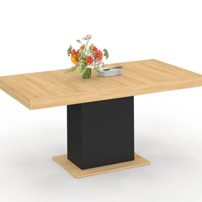 Table à manger extensible rectangle 4-6 personnes bois et noir 120-160 cm