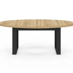 Table à manger ovale 200 cm 8 personnes bois et noir style industriel