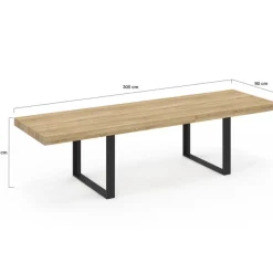 Table à manger rectangle 12 personnes bois et noir 300 cm