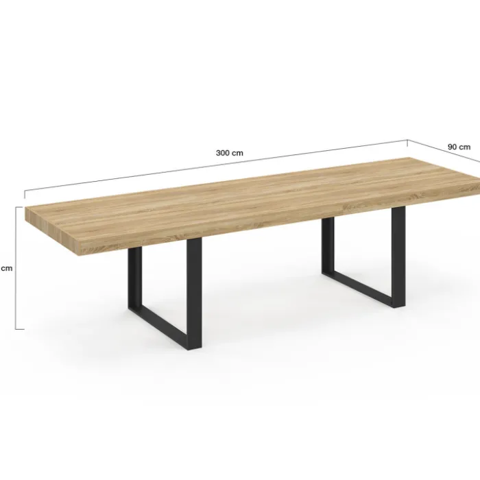Table à manger rectangle 12 personnes bois et noir 300 cm