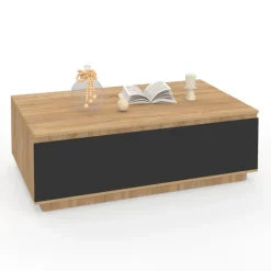 Table basse 110 cm avec porte façon hêtre et noir