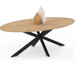 Table basse ovale bois et métal noir avec pied araignée