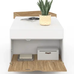 Table basse rectangulaire bois et blanc plateau relevable et coffre