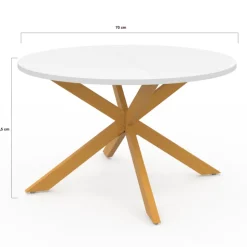 Table basse ronde blanche et bois 70 cm pied araignée