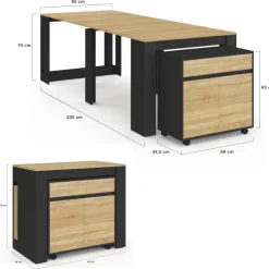 Table buffet extensible 10 personnes 235 cm bois et noir