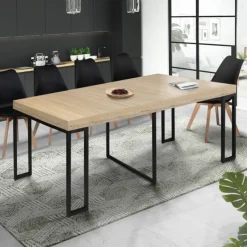 Table industrielle extensible 10 personnes 235 cm